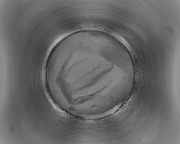 X0000110991144200907101425