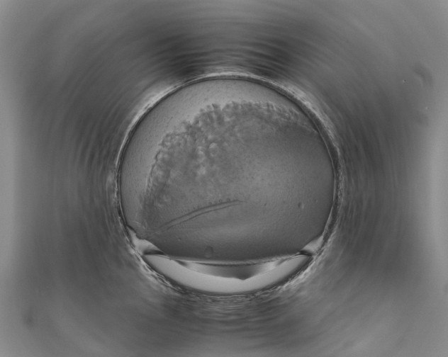 X0000110991145200907101425