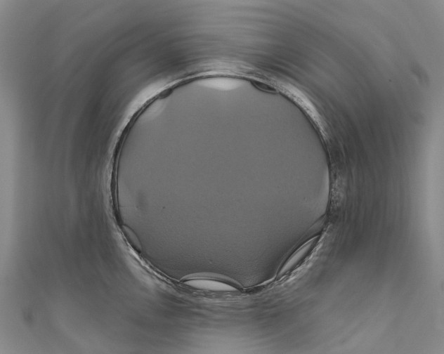 X0000110991146200907101425