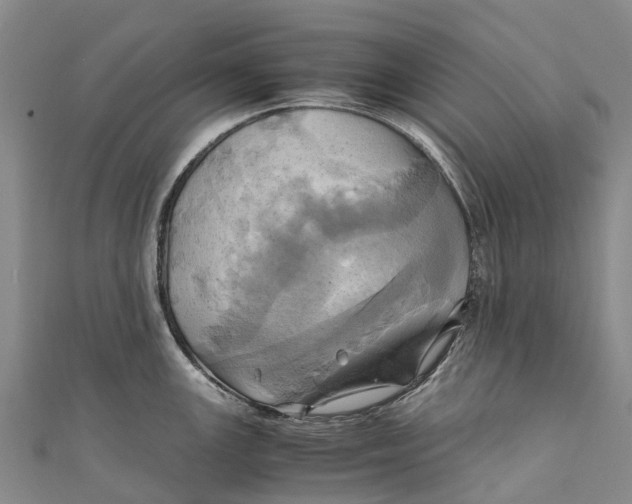 X0000110991147200907101425