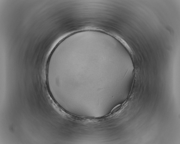 X0000110991148200907101425