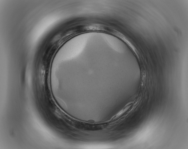 X0000110991151200907101426