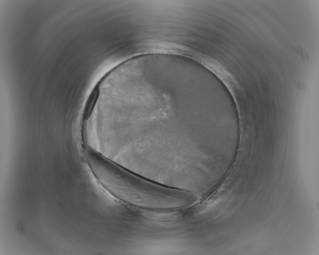 X0000110991152200907101426