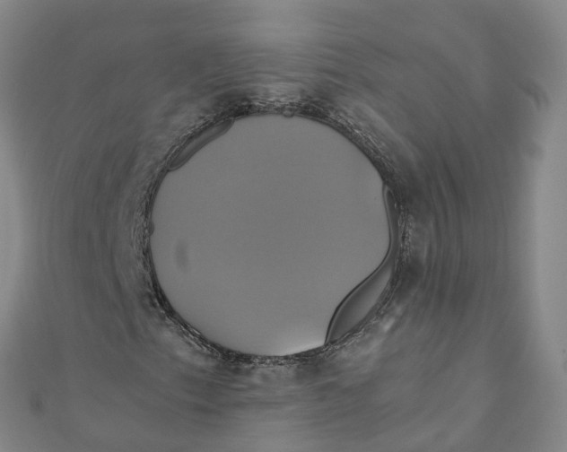 X0000110991153200907101425