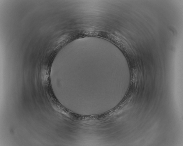 X0000110991154200907101425