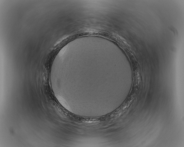X0000110991158200907101425