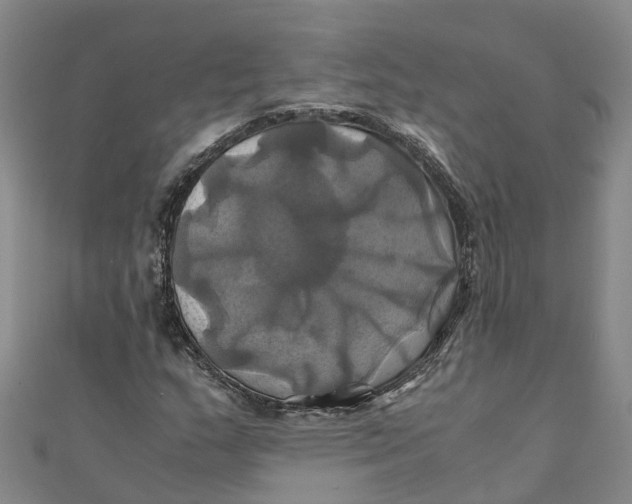 X0000110991159200907101425