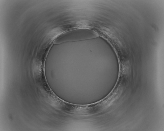 X0000110991161200907101425