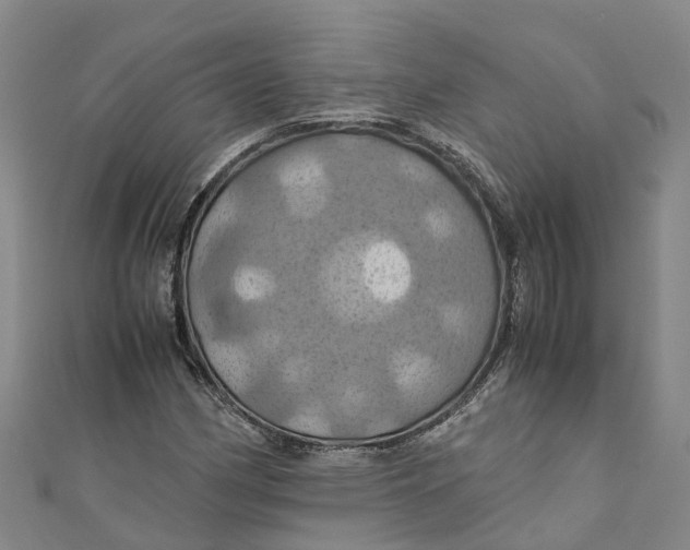 X0000110991162200907101425