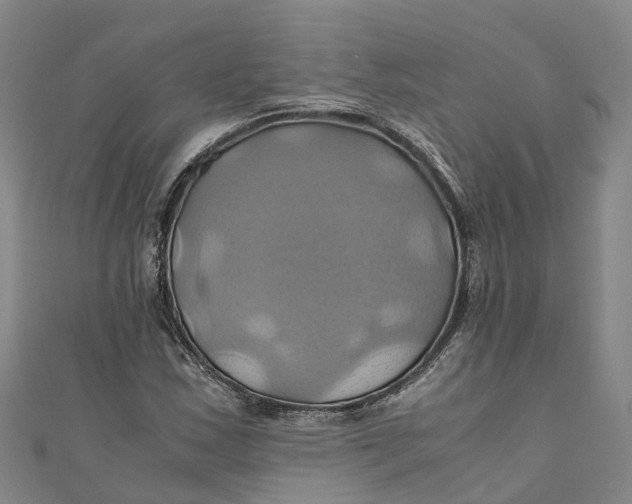 X0000110991163200907101425