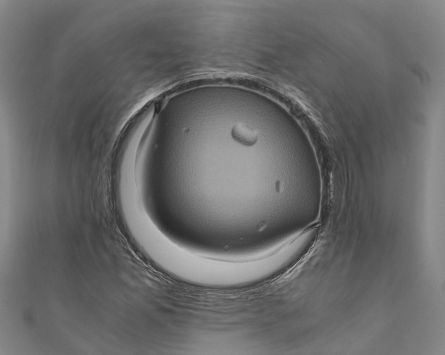 X0000110991165200907101425