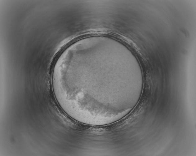 X0000110991168200907101425