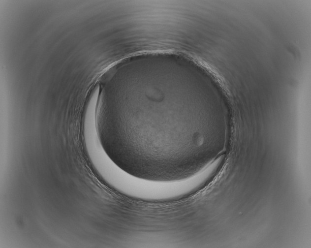 X0000110991169200907101425
