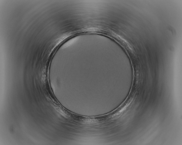 X0000110991170200907101425