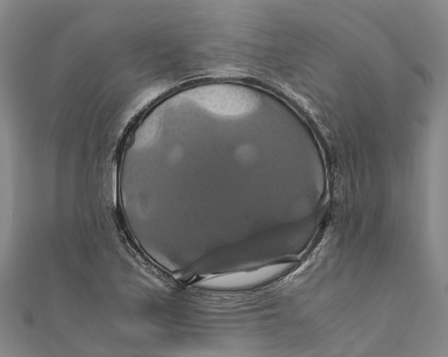 X0000110991171200907101425