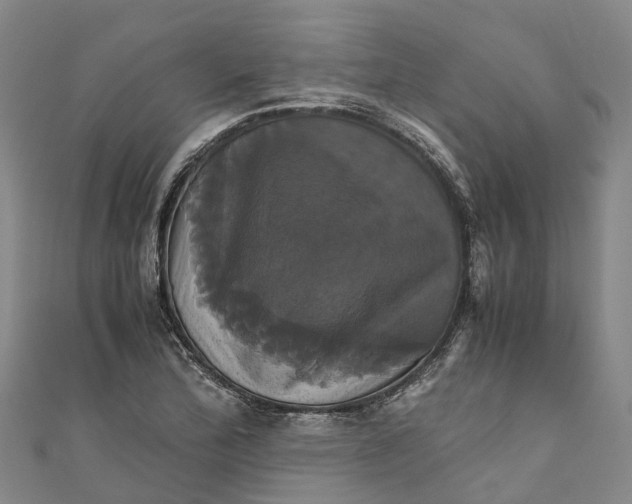 X0000110991172200907101425