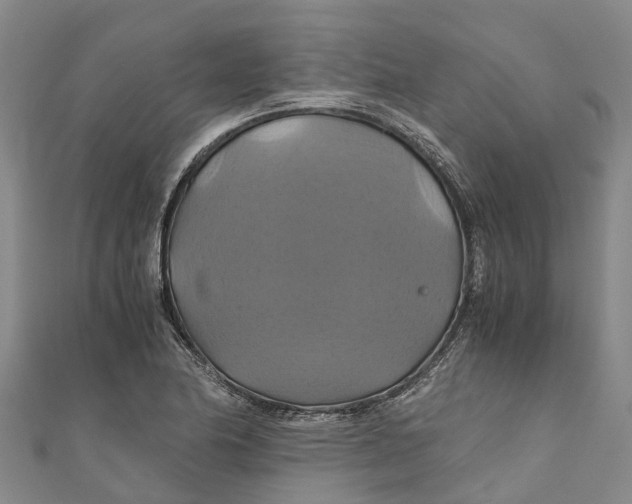 X0000110991174200907101425