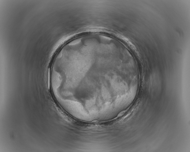 X0000110991175200907101425