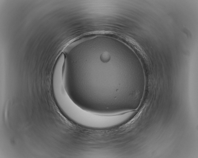 X0000110991177200907101425
