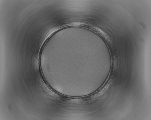 X0000110991178200907101425
