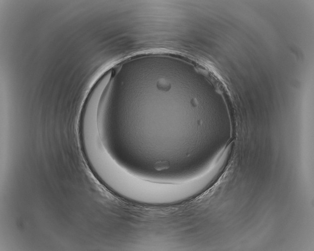 X0000110991181200907101425