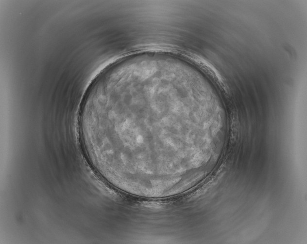 X0000110991182200907101425