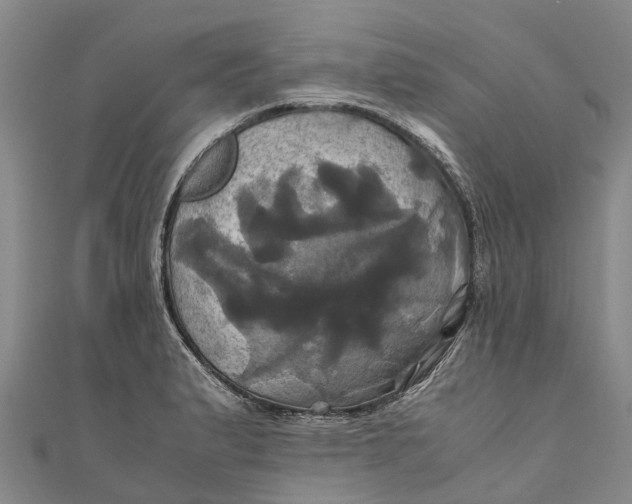 X0000110991183200907101425