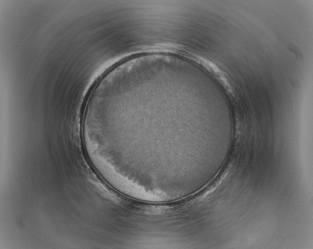 X0000110991184200907101424