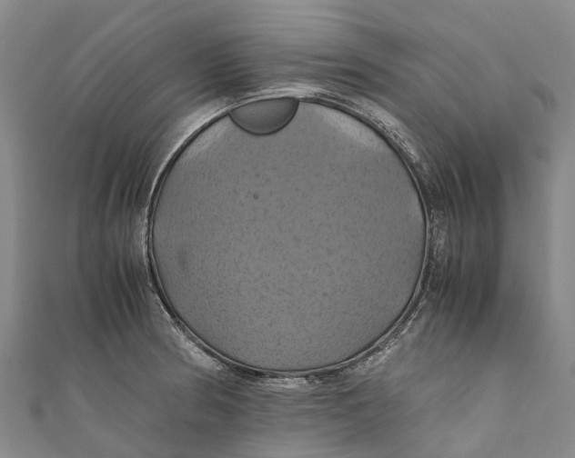 X0000110991186200907101424