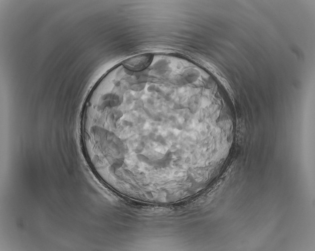 X0000110991187200907101424