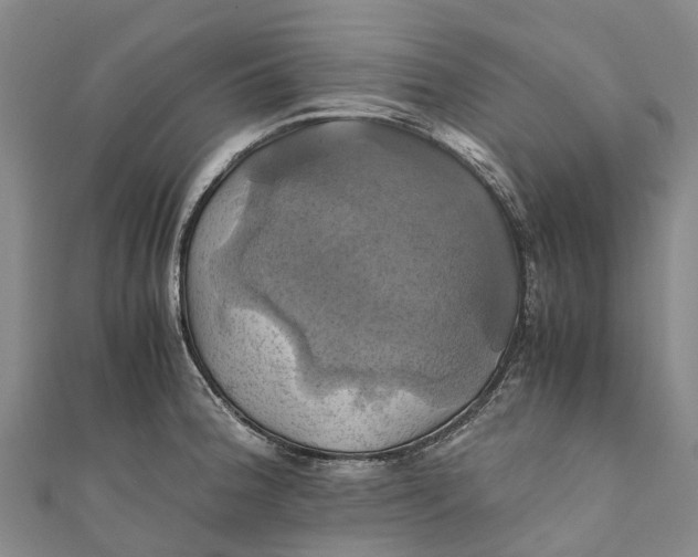 X0000110991188200907101424