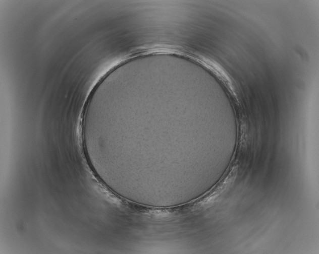 X0000110991190200907101424