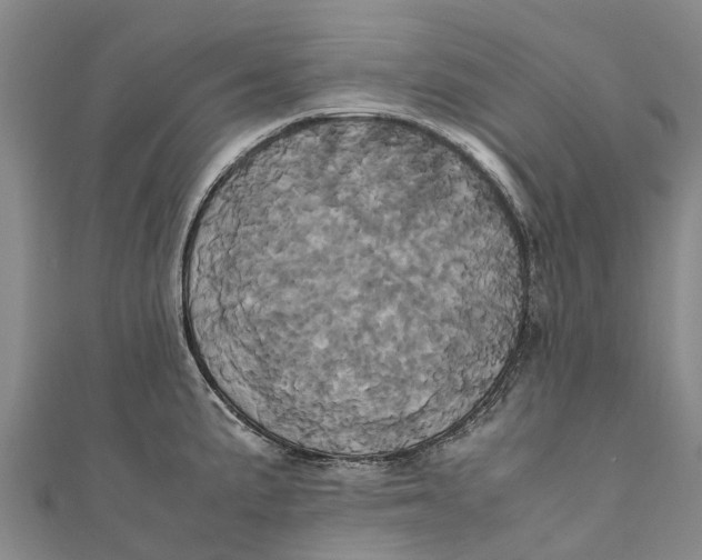 X0000110991191200907101424