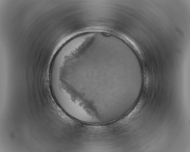 X0000110991192200907101424
