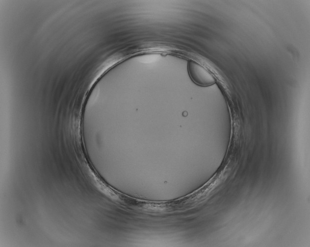 X0000110991194200907101424