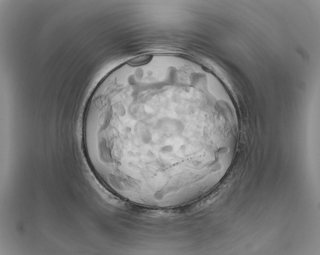 X0000110991195200907101424