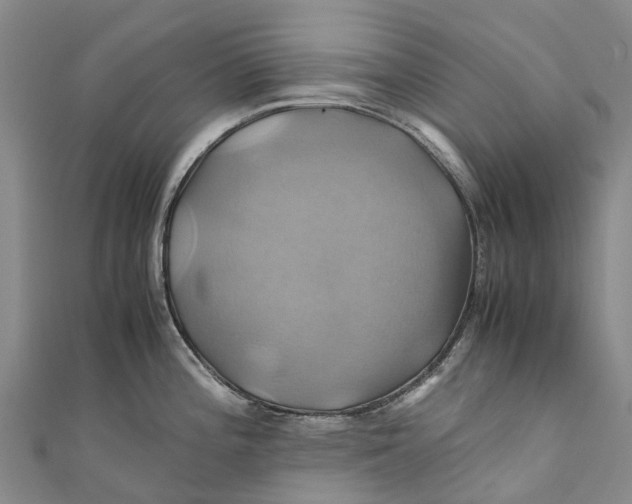 X0000110991196200907101424