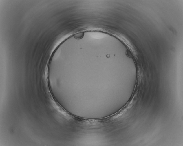 X0000110991198200907101424