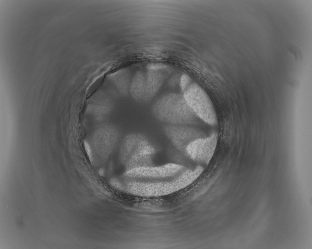 X0000110991201200907101423