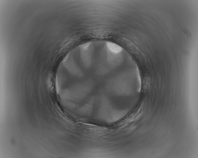X0000110991202200907101423