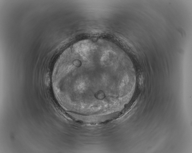 X0000110991204200907101423