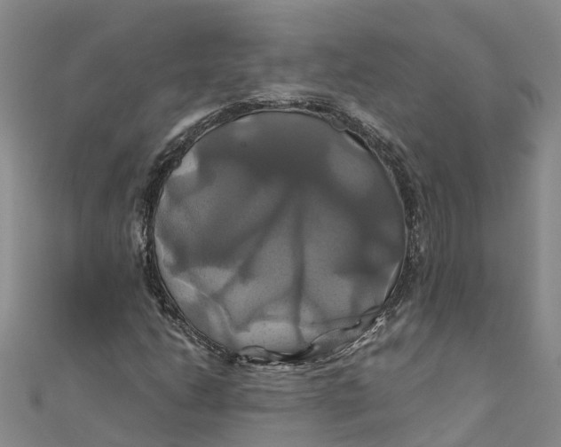 X0000110991206200907101423