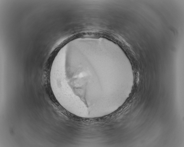 X0000110991208200907101423