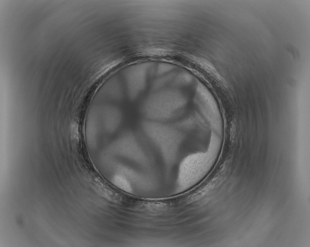 X0000110991209200907101423