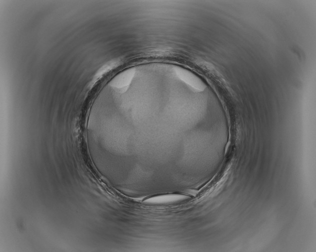 X0000110991210200907101424