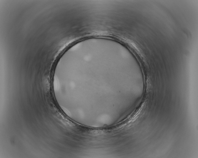 X0000110991212200907101424