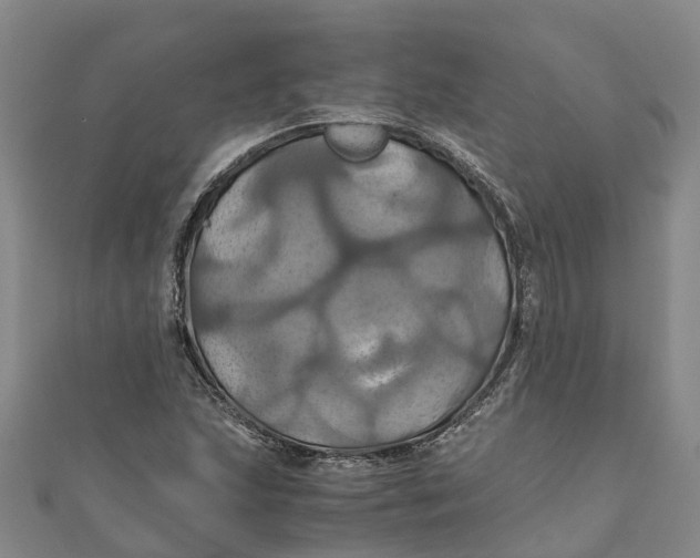 X0000110991215200907101424
