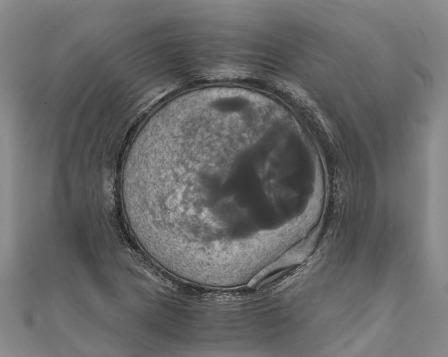 X0000110991217200907101424
