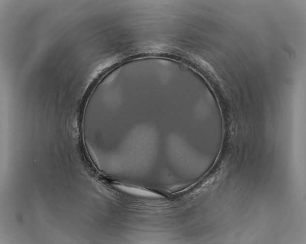 X0000110991218200907101424
