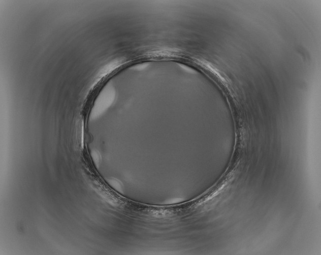 X0000110991219200907101424